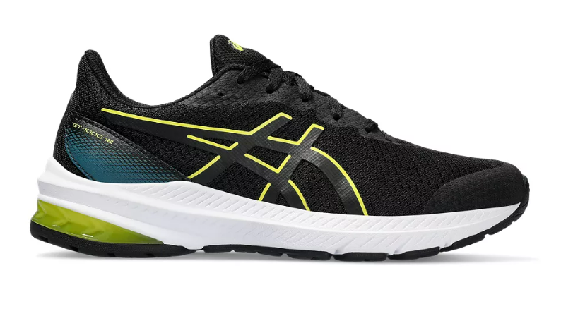 Asics gel pulse shop 11 vs gt 1000